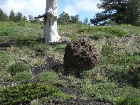 Torrente_Quarantore - 20100606 065.jpg